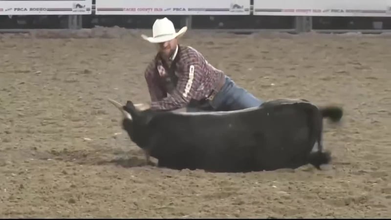 Hallsville steer wrestler Justin Shaffer