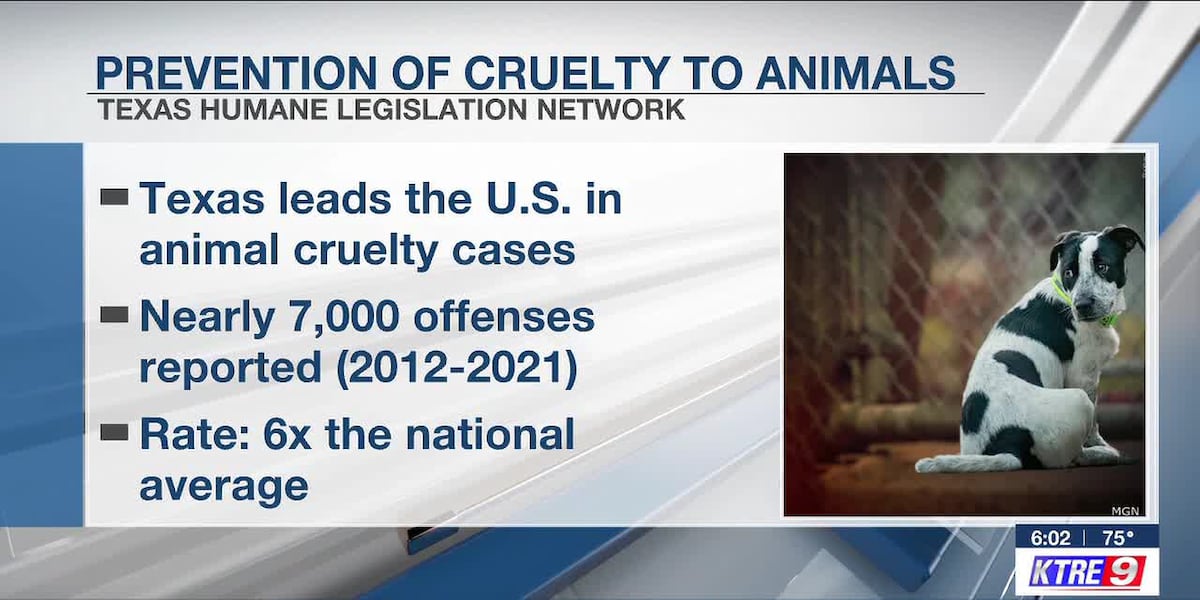 Texas leads nation in animal cruelty cases; advocates urge prevention and reporting