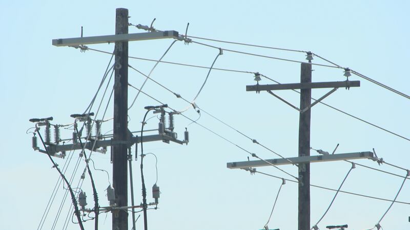 Texoma utility says the grid is prepared; residents can help ease peak-hour strain