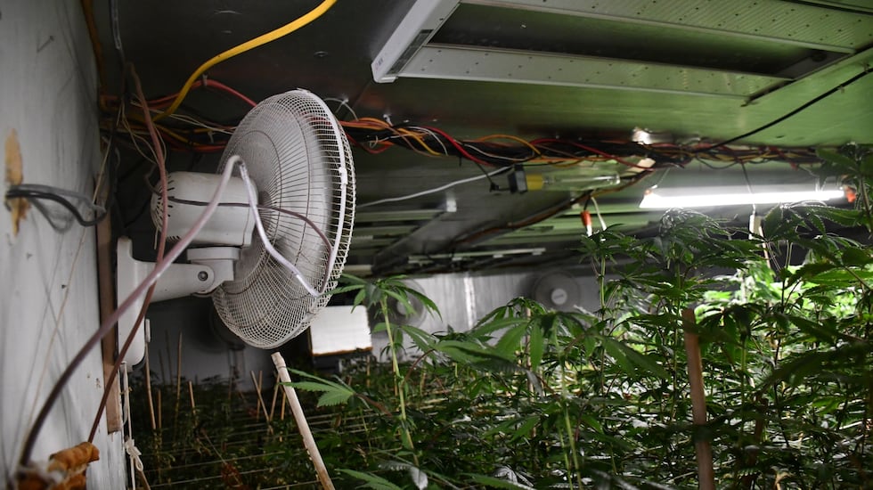 Neighbors reported a persistent odor of marijuana as well as suspicious activity involving...