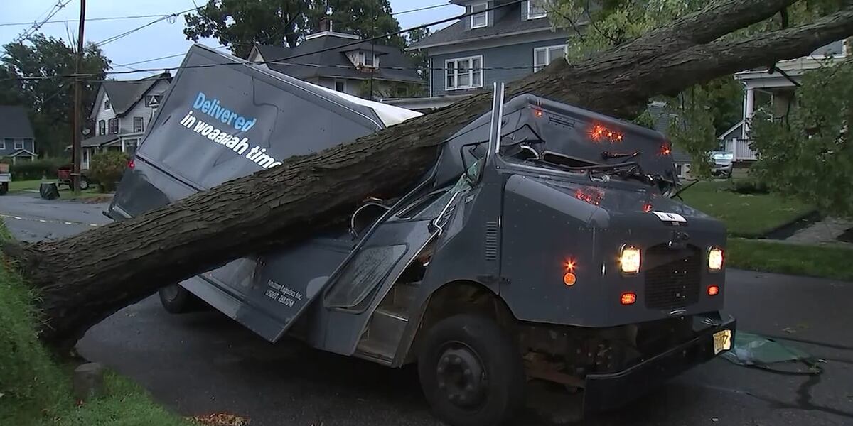 Clean Food Handler Massive fallen tree crushes Amazon delivery truck, trapping worker inside