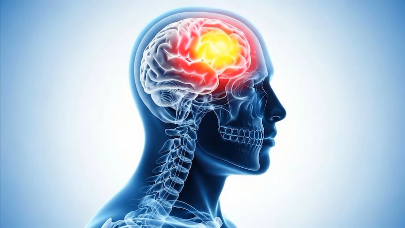 CTE stands for Chronic Traumatic Encephalopathy. It’s a progressive brain disease caused by...