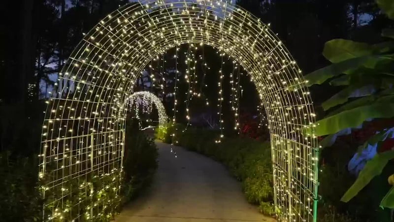 Longview Arboretum lights up for holidays with new walk-through display