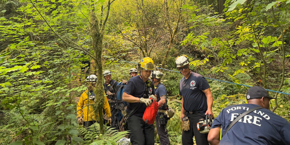Clean Food Handler Worker killed by unrelated falling tree in Portland