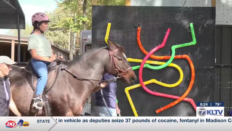 Whitehouse riding center unveils sensory area makeover for therapy riders
