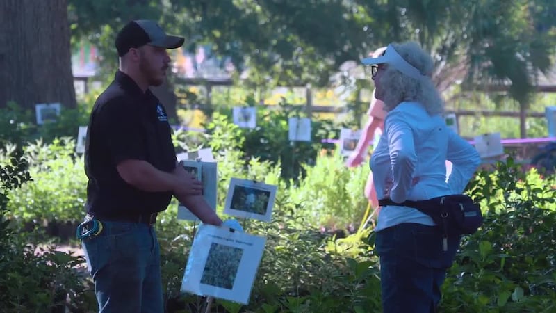 The annual Stephen F. Austin State University’s annual plant sale is set to take place...