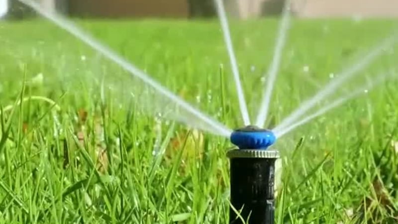 Your lawn may not need more water