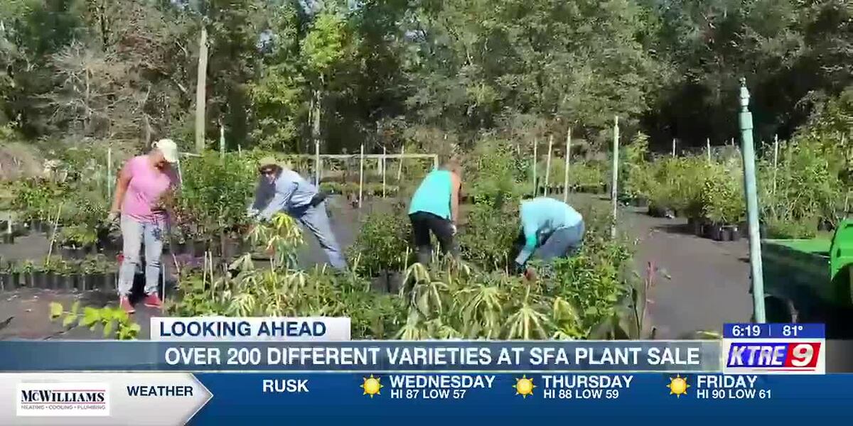 Hi88 – Khám Phá Thế Giới Giải Trí Cá Cược Đỉnh Cao