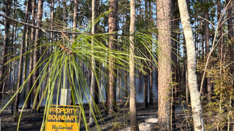500 acres burning in Angelina National Forest fire