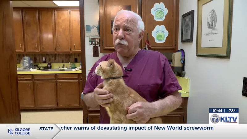 East Texas veterinarian sees upticks in ticks, fleas