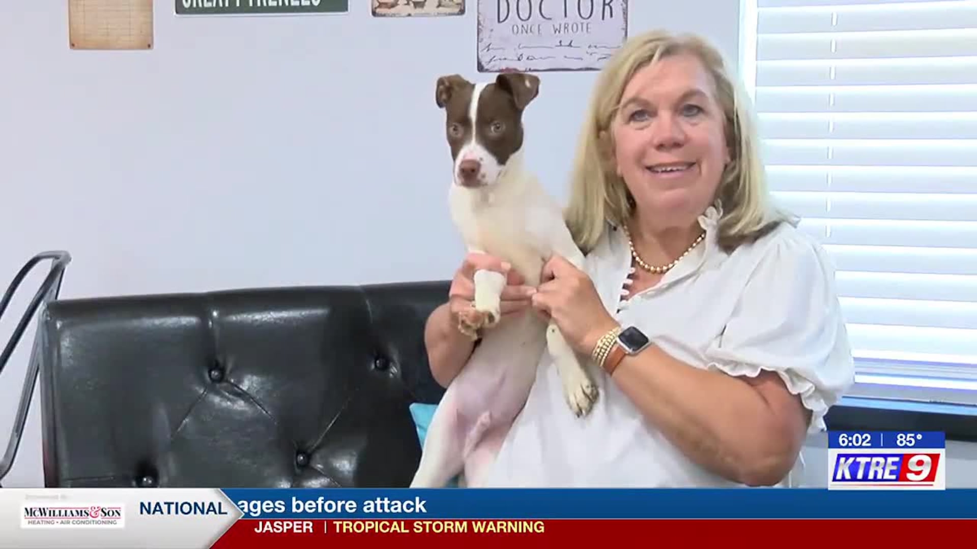 SPCA of Polk County seeks funds, volunteers as donations decline