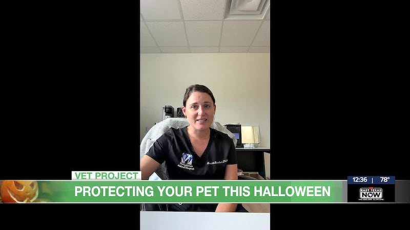 From toxic candy dangers to trick-or-treater anxiety, Dr. Meredith Stanaland shares key tips...